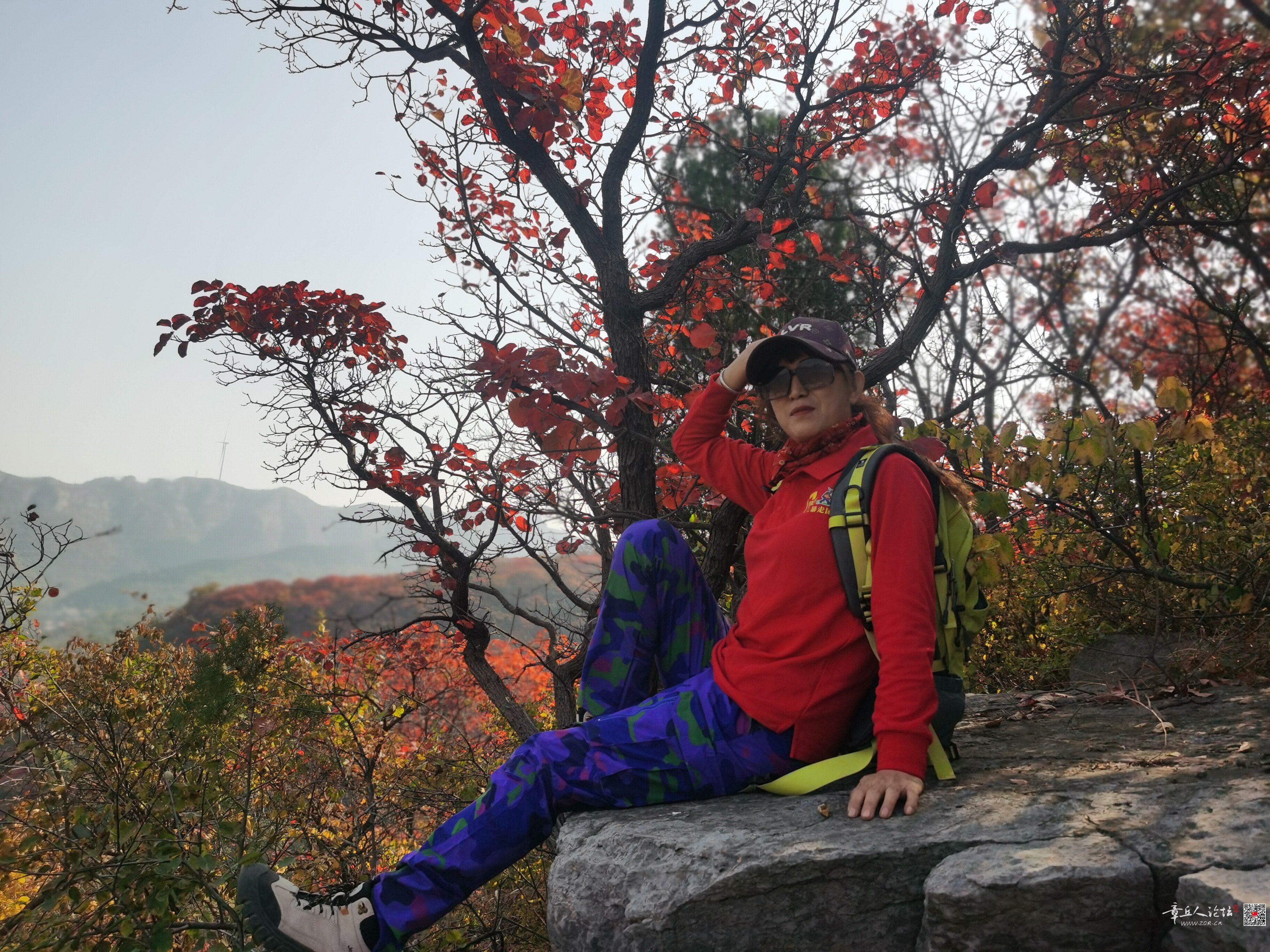 微信图片_20261013142834_75_2.jpg