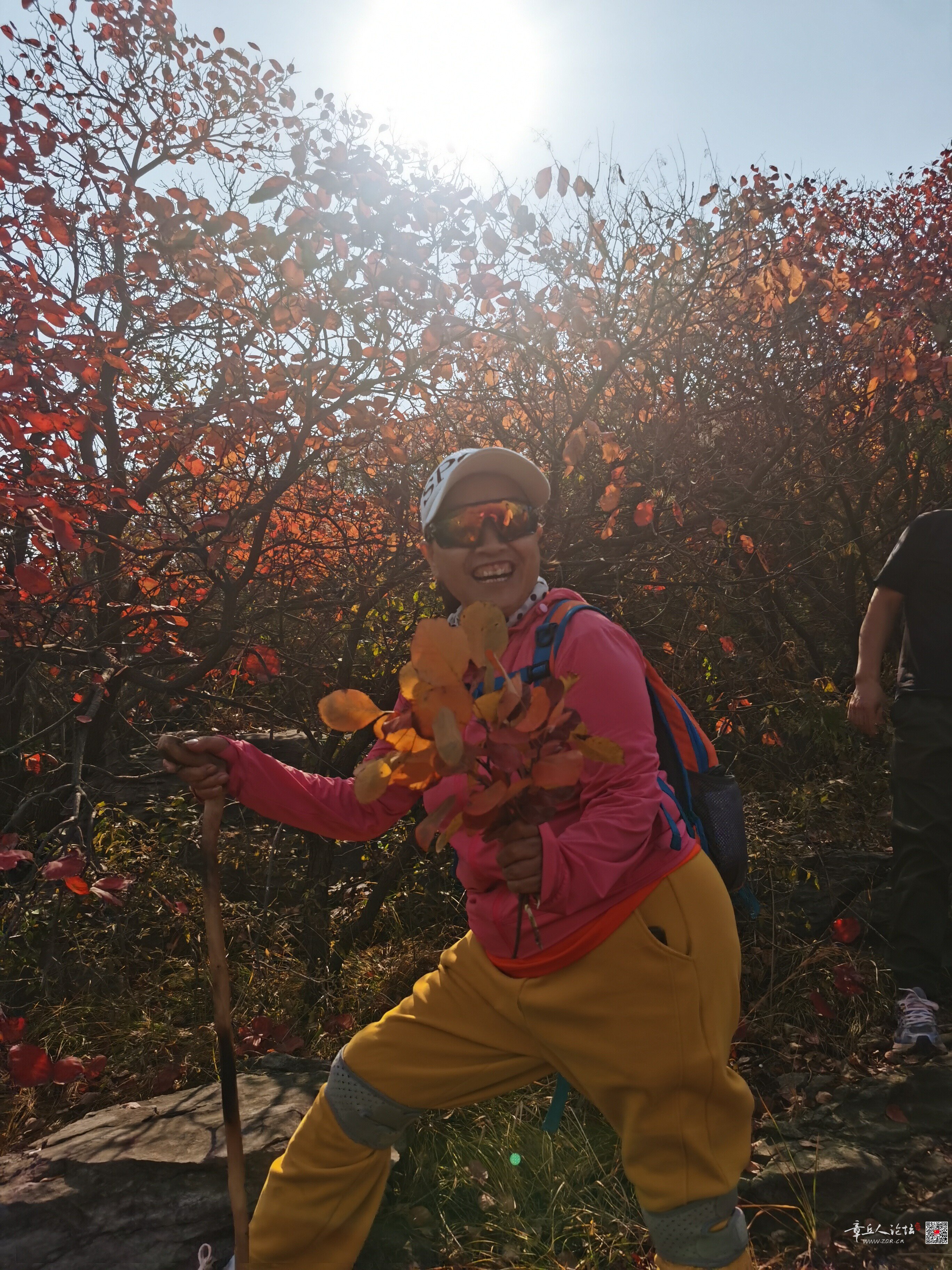 微信图片_20261013142847_82_2.jpg