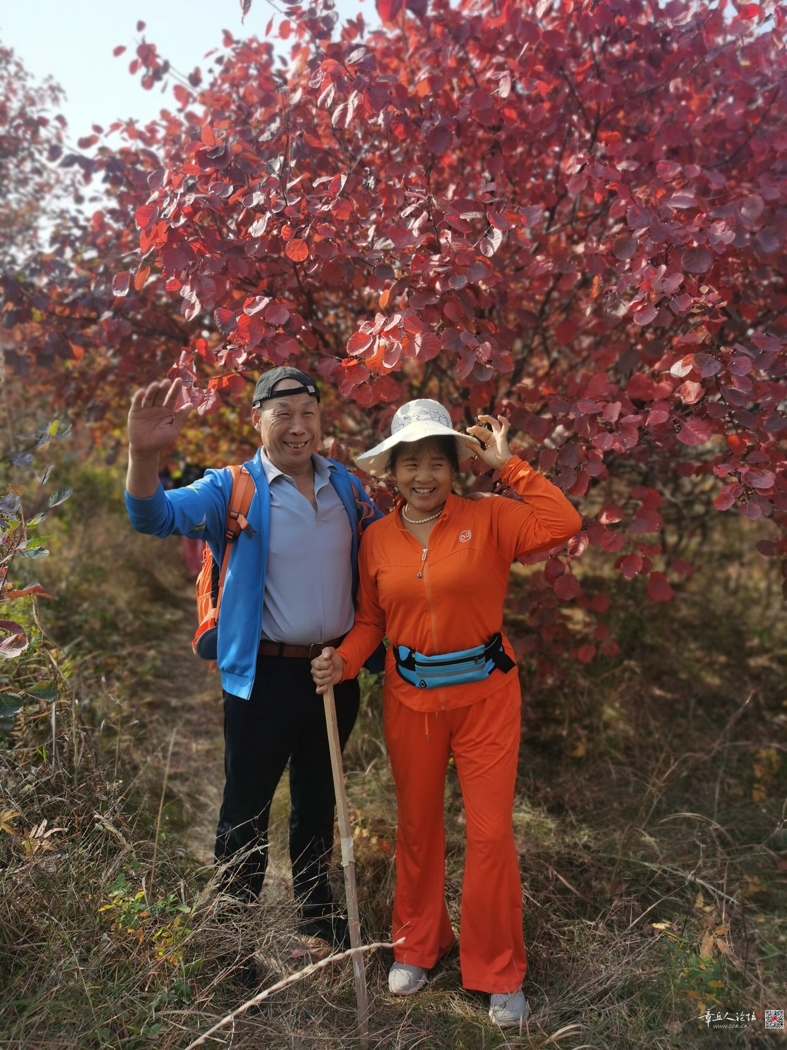 微信图片_20261013142900_89_2.jpg