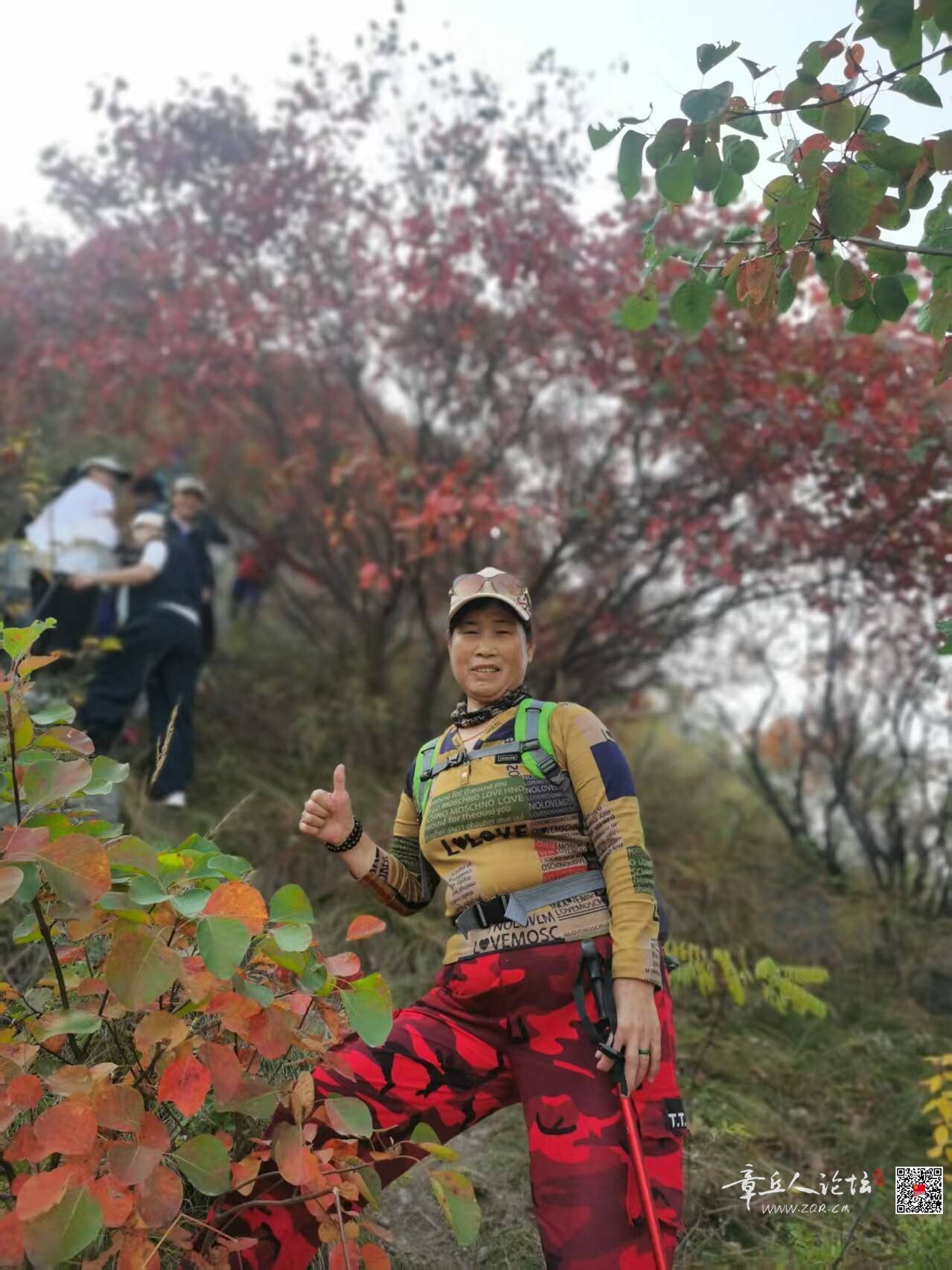 微信图片_20261013142948_130_2.jpg