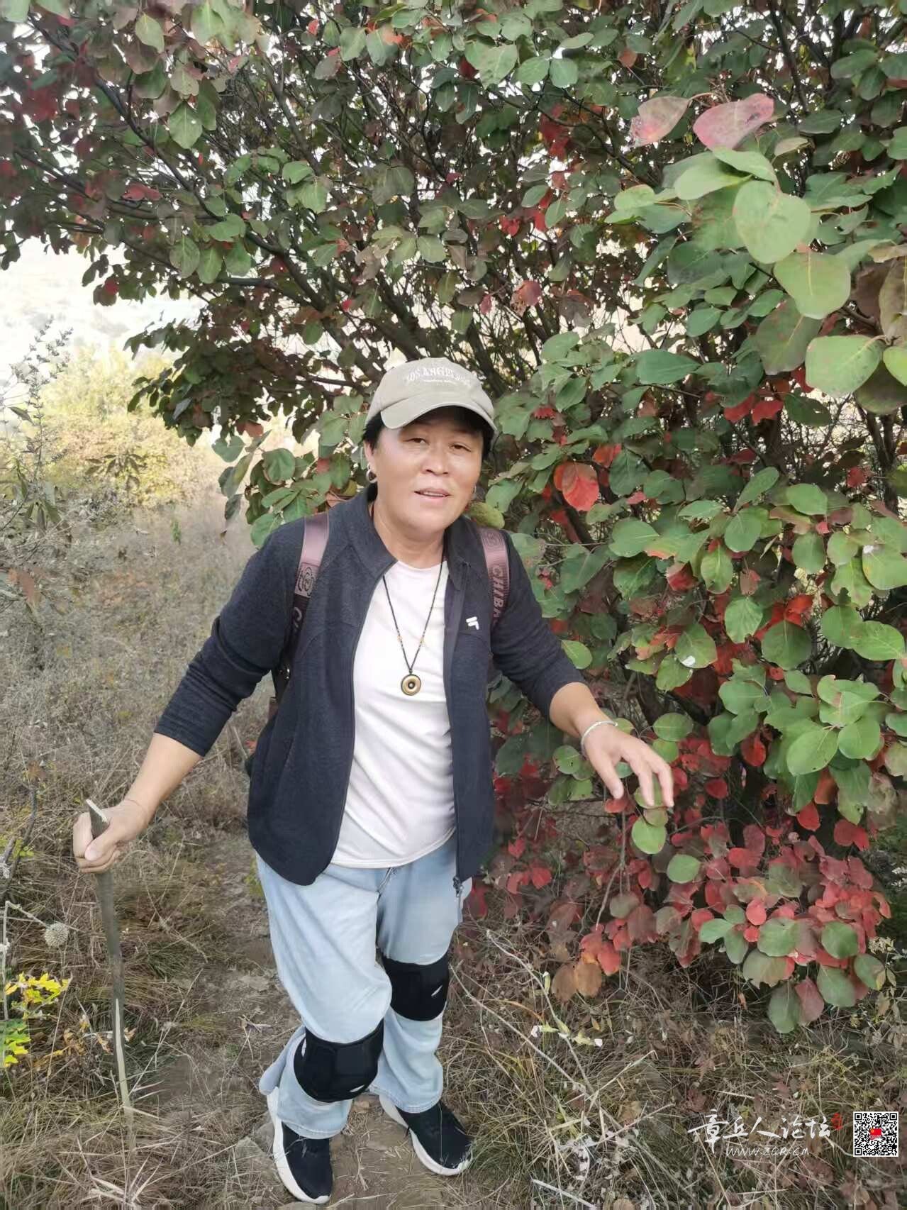 微信图片_20261013142951_132_2.jpg