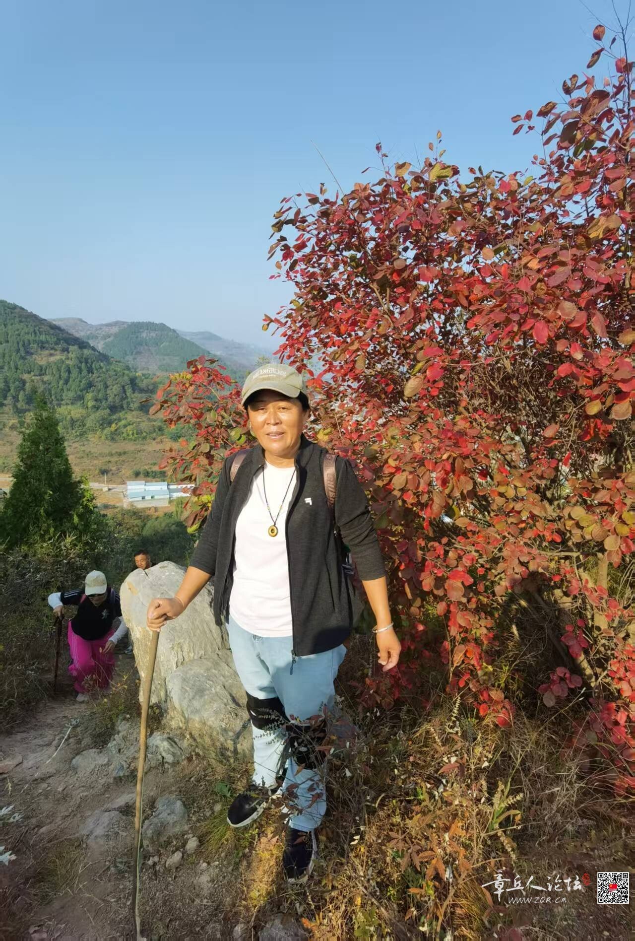微信图片_20261013142957_137_2.jpg