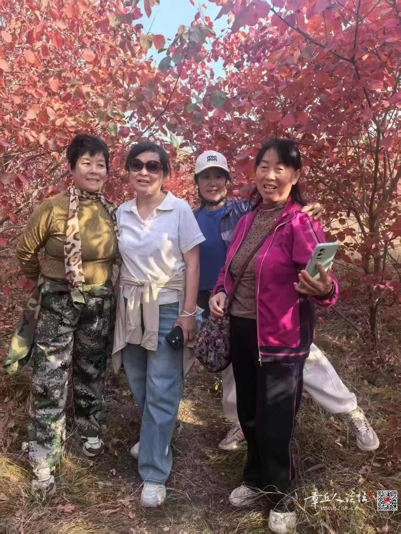 微信图片_20261013143301_178_2.jpg
