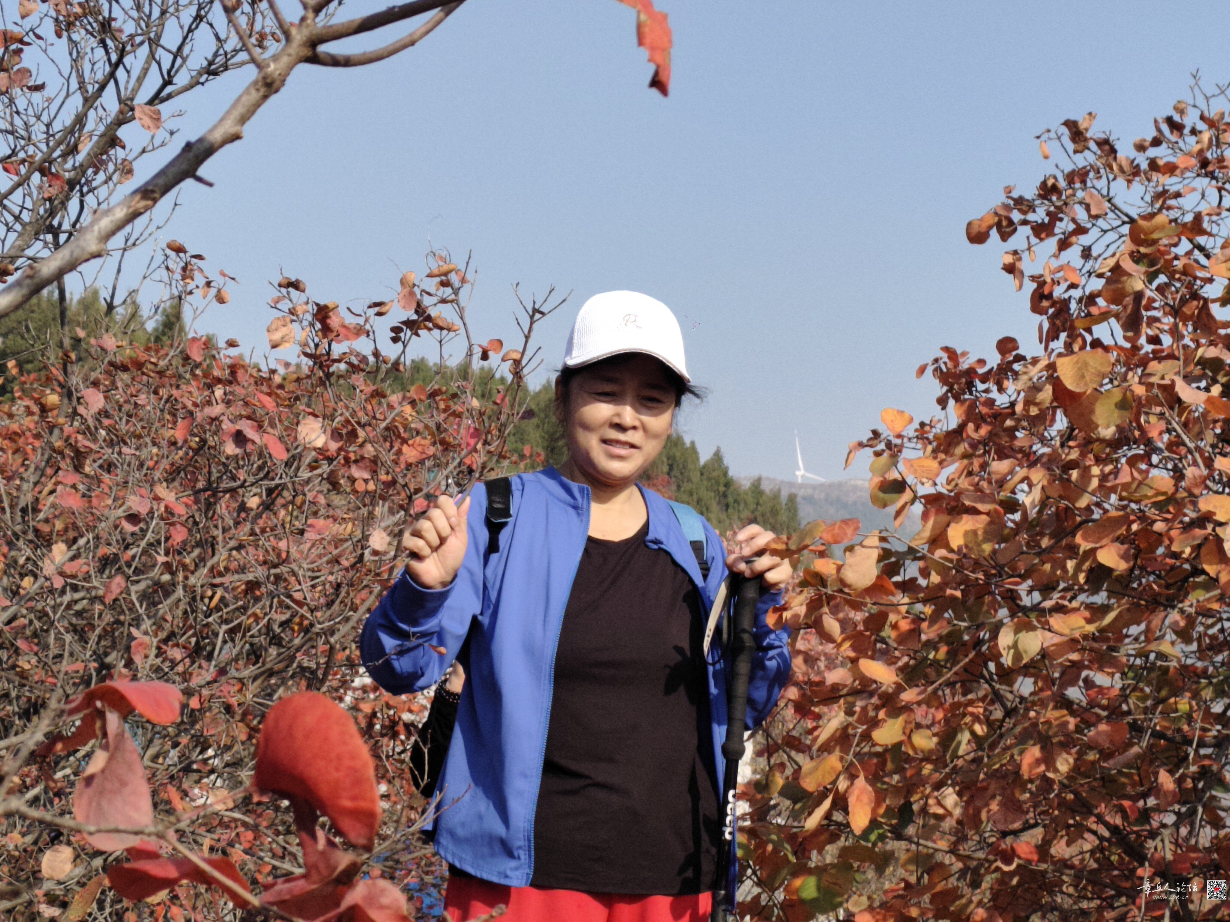 微信图片_20261014112340_246_2.jpg