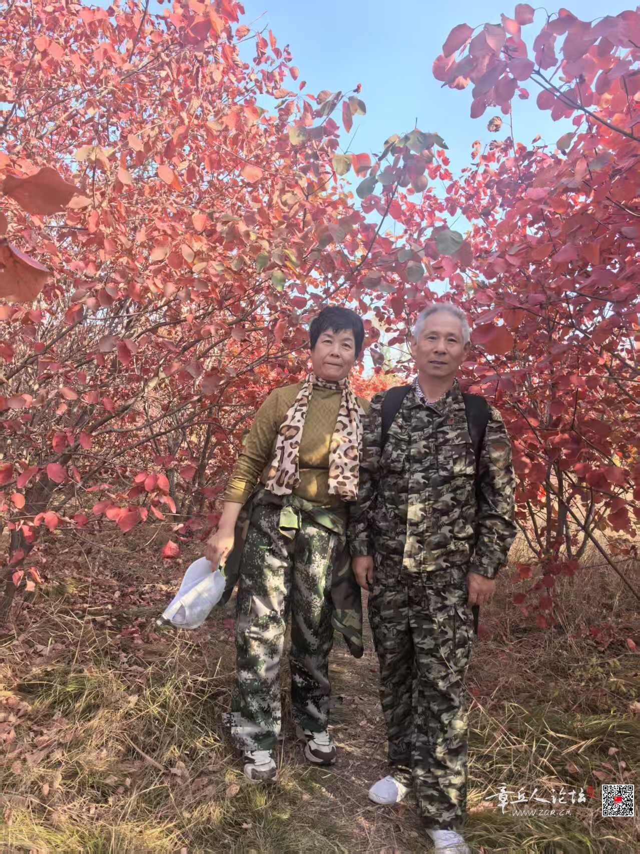 微信图片_20261014112452_306_2.jpg