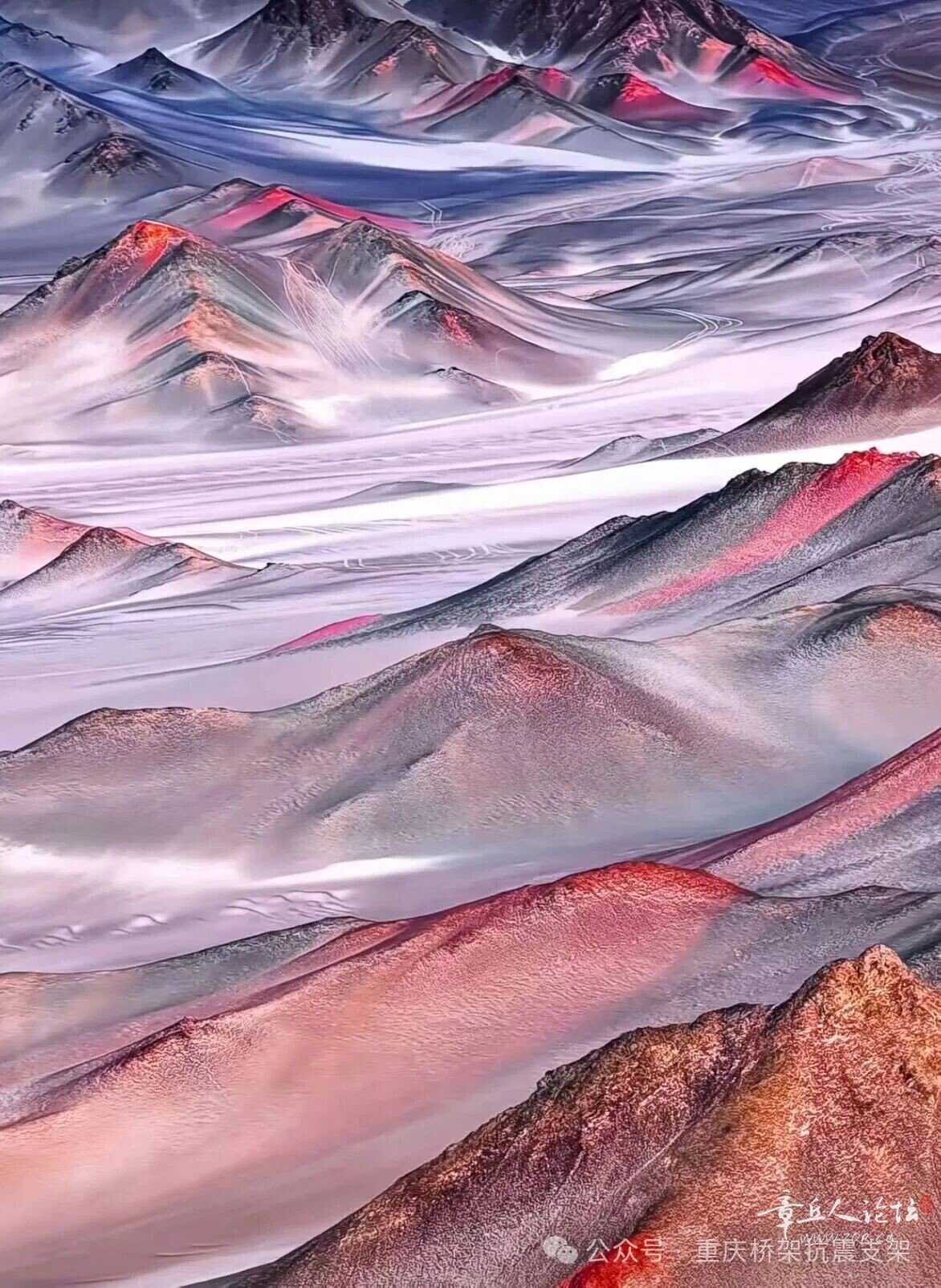 100.jpg