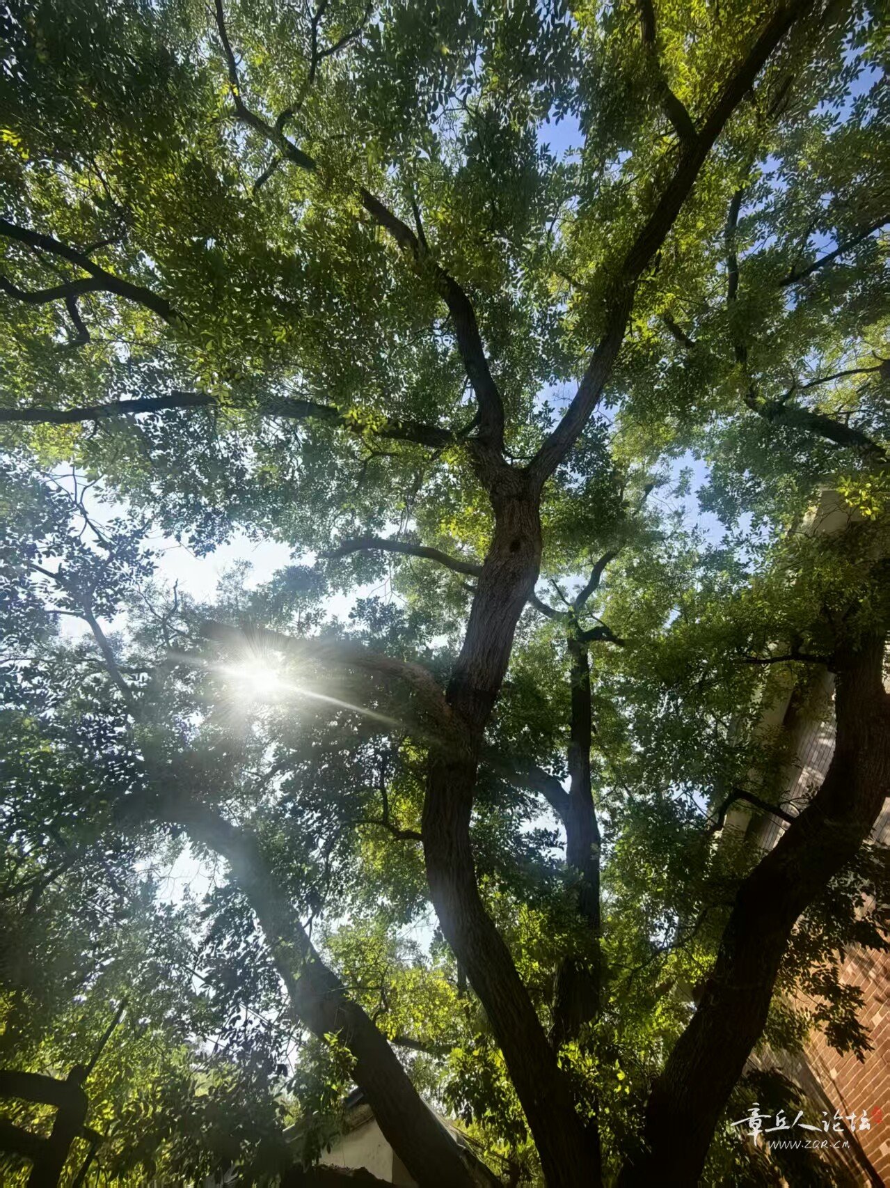 微信图片_20261016233502_346_23.jpg