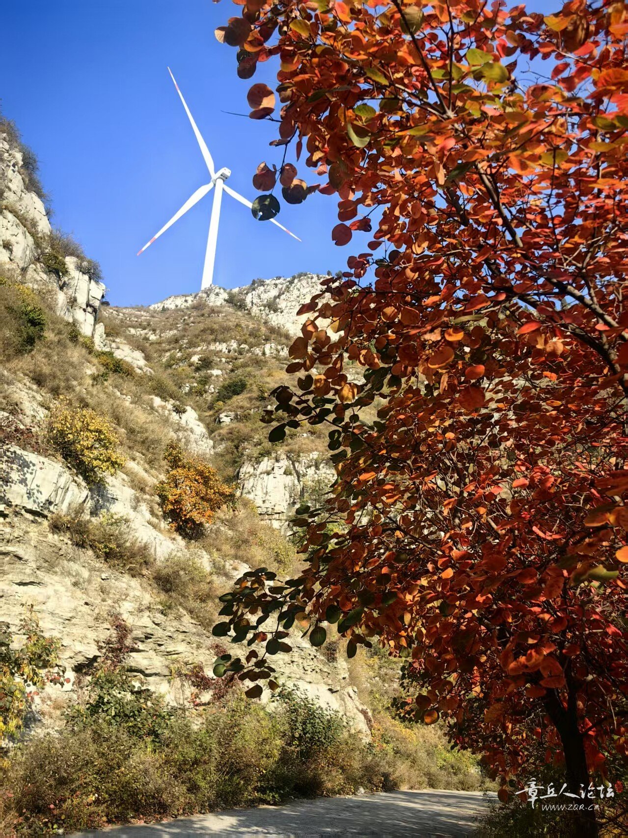 微信图片_20261016233505_348_23.jpg