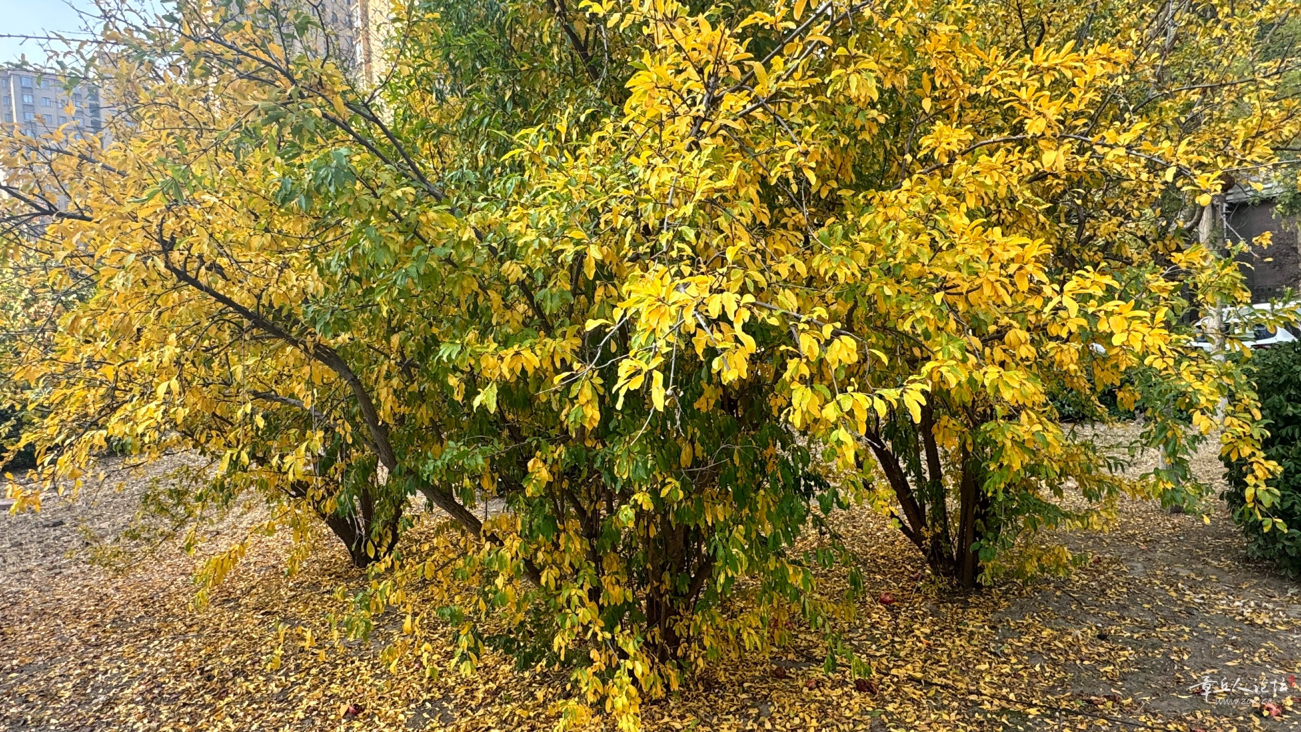 IMG_6293.jpeg