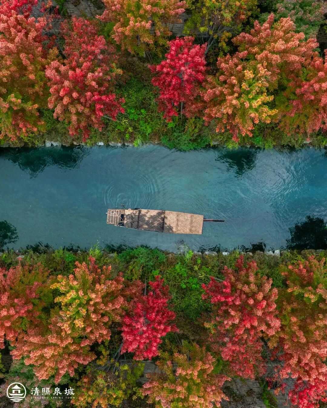 121048hdvhidjddvj1d6ig.jpeg